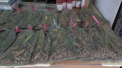 Small-Bags-with-live-Grasshoppers-served-as-Bird-food-for-sale-at-Hong-Kong-Bird-market