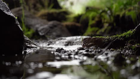 Water-drops-falling-into-a-puddle-or-mud-amongst-mossy-rocks