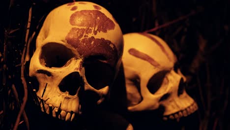 Mit-Blut-Geschmückte-Menschliche-Schädel---Gruseliges-Halloween-Arrangement,-Religiöse-Oder-Stammesopfer,-Warnung-Vor-Entfernten-Inseln,-Horrorfilmkulisse