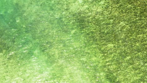 Abstrakte-Grünliche-Meerwasserbeschaffenheit