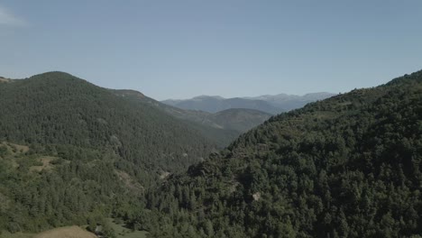 Vista-Aérea-De-Un-Dron-Que-Avanza-Sobre-Los-Campos-Y-Un-Bosque-Y-Está-Rodeado-De-Montañas-En-La-Cerdanya,-Catalunya