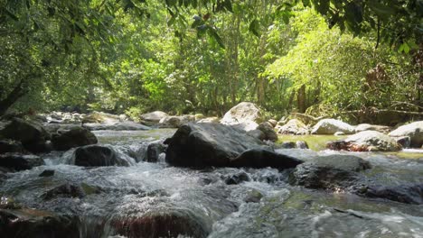 Beautiful-majestic-white-fresh-clear-narrow-river-water-flows-over-riverbed-rocks-in-green-lush-tropical-forest-on-sunny-day,-pan-down