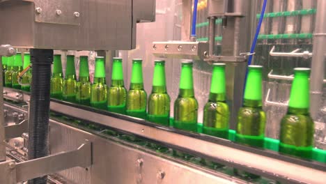 Green-Beer-Bottling-Plant-Belt-At-Beer-Factory