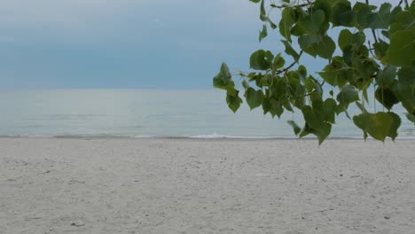 Handheld-shot-of-the-North-Beach-from-Lake-Ontario-with-leaves-in-the-wind-on-a-cloudy-evening