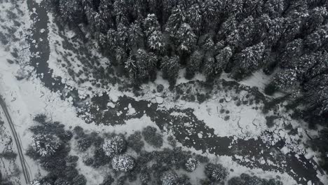 Aerial-Top-Down-shot-of-Beas-river-dividing-the-Large-Pine-Tree-Forest-and-Old-Manali-town-covered-with-snow-right-after-a-heavy-snowfall-during-the-winters-shot-with-a-drone-in-4k