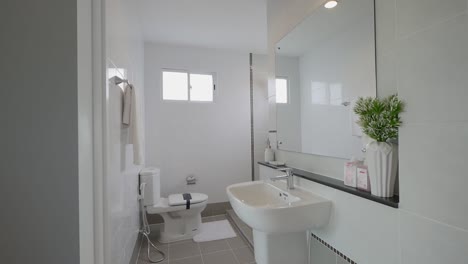 Moderne-Und-Stilvolle-Saubere-Badezimmer--Und-Toilettendekoration-Mit-Dem-Schönen-Artikel