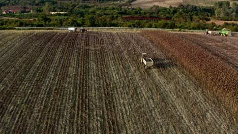Luftaufnahme-Des-Sonnenblumenfeldes-In-Der-Bulgarischen-Landschaft-Mit-Landwirtschaftlichen-Maschinen-Und-Landwirtschaftlichen-Fahrzeugen,-Die-Die-Samen-Sammeln