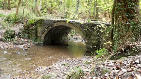 Flowing-Autumn-woodland-forest-stream-creek-under-arch-bridge-wilderness-foliage