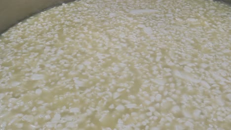 Cottage-cheese-production-process,-hand-takes-curd-from-industrial-vat