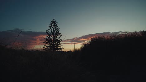 Silhouette-Eines-Einsamen-Baums-Auf-Dem-Feld-Während-Des-Sonnenuntergangs