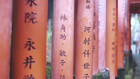 Red-Torii-Gates-With-Black-Inscriptions-In-Japanese