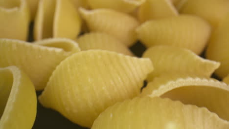 Macro-close-up-slide-across-conchiglie-shell-pasta