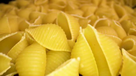 Slide-across-a-bunch-of-uncooked-conchiglie-shell-pasta