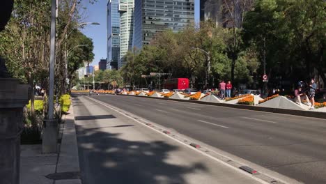Beautiful-Orange-Marigold-Flowers-Decoration-in-the-Central-Median-of-Paseo-de-la-Reforma-Avenue-on-a-Sunny-Day-with-Blue-Sky,-Mexico-City´s-Downtown