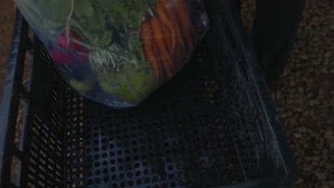 Frisch-Geerntetes-Gemüse-Vom-Biobauernhof-Verpackt-Für-Den-Verkauf-Auf-Dem-Markt