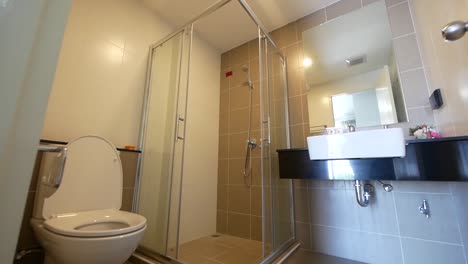 Small-and-Clean-Bathroom-With-Shower-Box