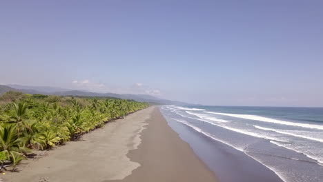 Moving-aerial-shot-of-long-Costa-Rican-beach-with-palm-trees-and-waves