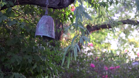 Establishing-shot-of-a-metal-garden-bell-hanging-from-the-limb-of-a-mesquite-tree,-Scottsdale,-Arizona