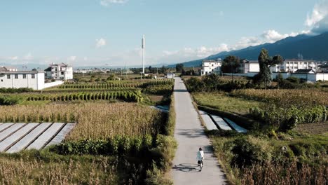 Person-cycling-through-rural-Chinese-farming-village,-aerial-view