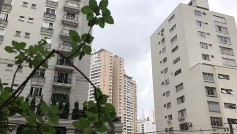 Planta-Plana-Y-Edificios-En-El-Centro-De-La-Ciudad-De-Sao-Paulo-Día-Lluvioso