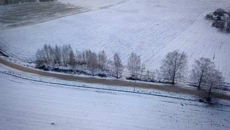 Unbefestigte-Straße-Mit-Kahlen-Bäumen-Zwischen-Schneebedeckten-Feldern-In-Der-Wintersaison-In-Lettland,-Europa