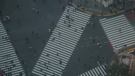 High-Angle-Close-Up-Shot-of-People-at-the-Shibuya-Crossing-During-the-Pandemic