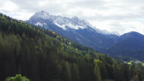 Mountain-landscape-covered-with-green-trees-and-on-horizon-peaks-with-snow