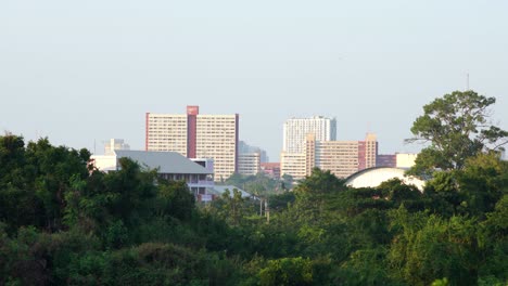 Cityscape-with-green-trees-on-foreground