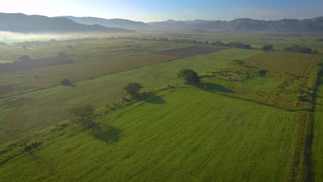 Drohnenblick-Auf-Ein-Wunderschönes-Grünes-Feld-Während-Des-Sonnenaufgangs-Mit-Klarem-Himmel
