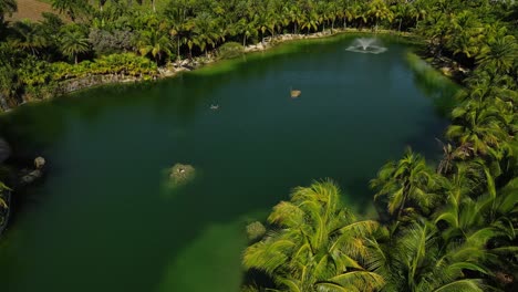 Aerial-view-of-an-artificial-lake-in-homestead-florida-tropical-vibes