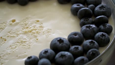 Detailed-close-up-of-delicious-cheesecake-with-blueberries-on-top-served-with-yummy-champagne-and-a-sparkling-wine-bottle-in-a-kitchen
