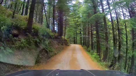 Adventurous-ride-in-SUV-through-unpaved,-dangerous,-narrow-mountainous-roads-amidst-dense-greenery