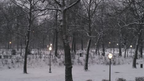 A-young-couple-walk-through-a-snow-covered-park,-Soft-warm-street-lamps-illuminate,-aerial