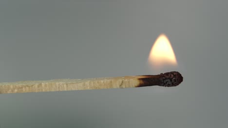 Igniting-match,-fire-burning-wood-stick-slowly-and-black-ashes-shrinking,-concept-Macro-Shot