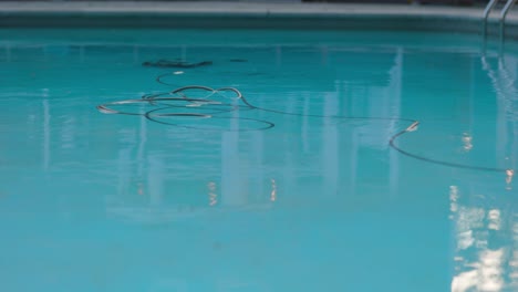 Der-Elektrische-Pool-Reinigungsroboter-Reinigt-Den-Pool-In-Der-Ferne,-Wobei-Das-Stromkabel-In-Klarem,-Reflektierendem-Wasser-Schwimmt