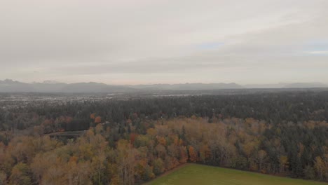 Drone-4K-Footage-of-thick-wooded-forest-in-a-rural-develop-environment-shot-on-a-cloudy-day-and-the-urban-city-in-the-background