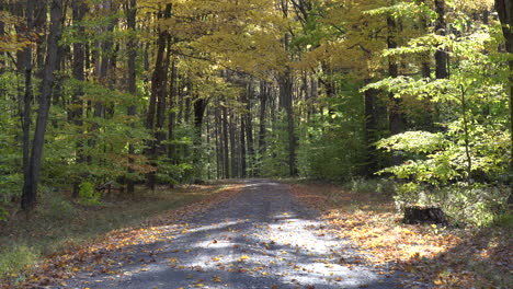 The-autumn-leaves-falling-on-a-beautiful-fall-day-along-a-dirt-road-in-the-forest