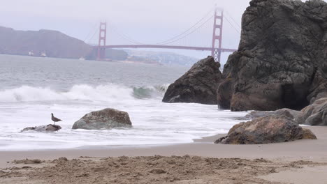 Wellen-Schlagen-Gegen-Felsen-Am-Strand-Der-Golden-Gate-Bridge-In-San-Francisco