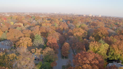 Aerial-of-Autumn-landscape-in-Clayton-in-St