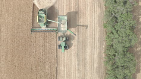 Top-View-Of-A-Modern-Combine-Harvester-At-Work-In-The-Field-In-Saskatchewan,-Canada-During-Harvest-Season,-aerial-drone