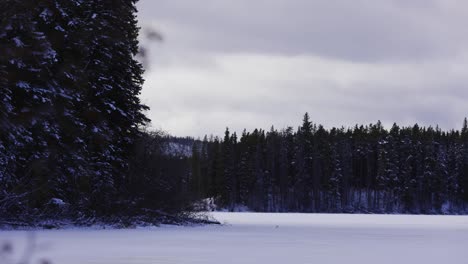 Zugefrorener-See-Umgeben-Von-Schneebedeckten-Bäumen