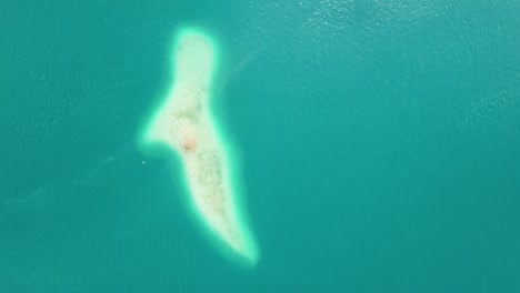 Paradise-sandbar-island-in-tropical-turquoise-water,-aerial-bird's-eye-view