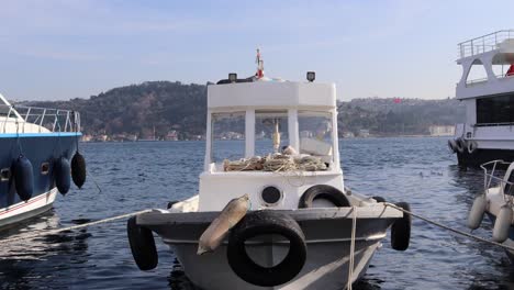 Transbordador-Y-Barco-De-Pesca-Amarrados-En-El-Puerto-Marítimo-Por-El-Bósforo-En-Estambul,-Turquía