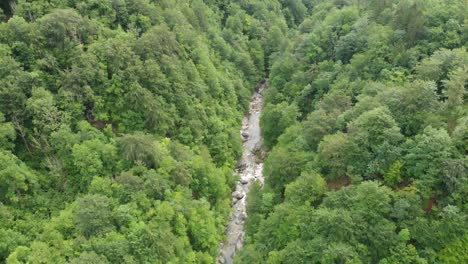drone-flies-above-remote-canyon-with-river-flowing-in-deep-forest-lush-greenery