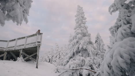 Eine-Frau,-Die-Die-Kälte-Spürt,-Während-Sie-Auf-Einer-Alten-Hölzernen-Aussichtsplattform-über-Einem-Hang-Mit-Kiefern-Und-Einer-Im-Winter-Schneebedeckten-Landschaft-In-Orford,-Quebec,-Kanada-Steht---Niedrigwinkelaufnahme
