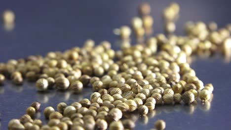 Coriander-seeds-on-the-table-close-up