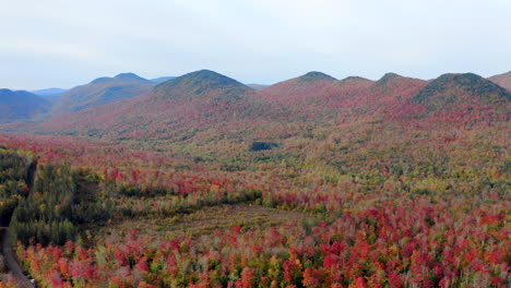 Drohnenblick-Auf-Erstaunliche-Herbstfarben-Im-Wald-Der-Adirondack-Mountains-Im-Bundesstaat-New-York