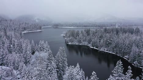 Slow-Drone-flyover-of-snow-covered-trees-and-lake-in-northern-California