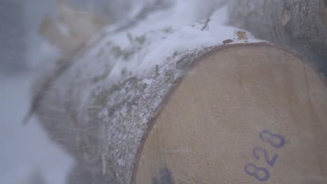 Birch-cut-log-being-buffeted-under-Swedish-Harsh-winter-snowstorm---Detail-close-up-shot