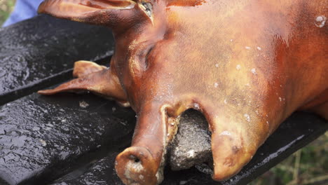 Hog-face-snout-on-a-table-being-cleaned-for-dismembering-and-butchering---Close-up